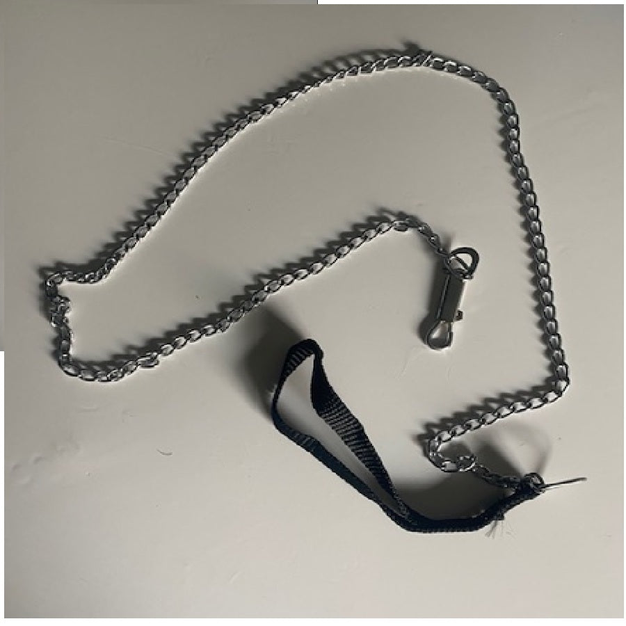 Cadena para perro cromada